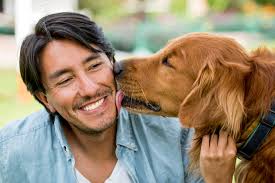 The Benefits of Owning a Dog: More Than Just Companionship